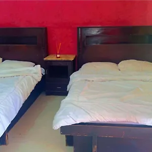 Delta Apartment *