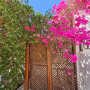 Apartment Hadaba 51d *