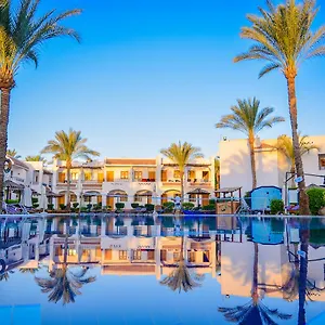 Dive Resort