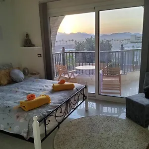 9 Oasis *