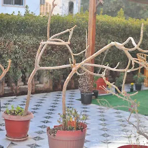 Backpackers Sharm el-Sheikh