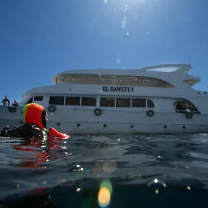Cinderella Eldawley Dive Center Botel