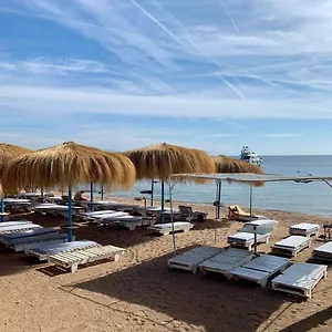 Sunshine-divers Club * Sharm el-Sheikh