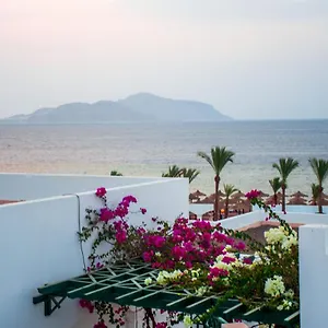 Resort Coral Montazah